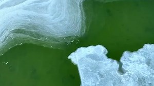 内蒙古乌梁素海半水半冰似翡翠_@所有人_澎湃新闻-The Paper