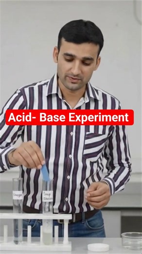 Blue Litmus & Red Litmus Test | Acid and Base Experiment #experiment #science #scienceexperiment