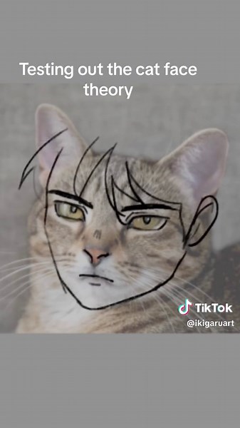 inspired by @hvmus kinda works ig #art #catfacetheory | anime cat theory