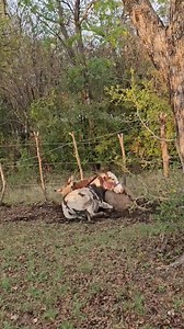 76K views · 3.3K reactions | Best friend goals!! ❤️ | Christina Hull | Facebook