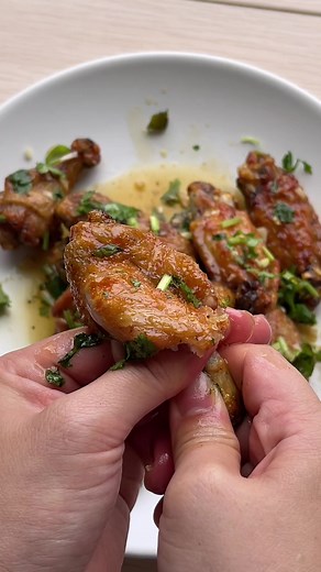 Delicious Ninja Foodi XL SmartLid Recipes for Crispy & Juicy Meals