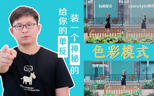 单反里的神秘色彩模式，让你拍出的画面干净、通透、易调色