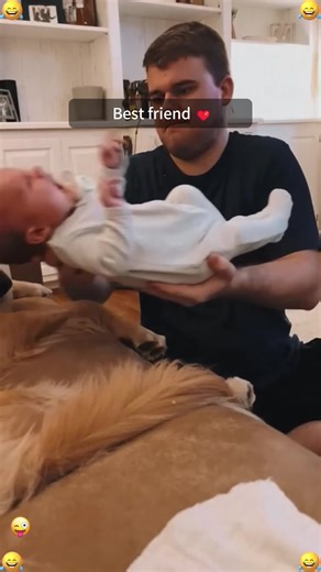 Dog Meets Newborn Baby: A Heartwarming First Encounter