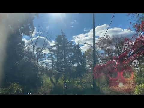 B456 in Rockville, Md on 11/10/25