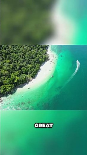 Discover Fitzroy Island Your Ultimate Paradise Adventure