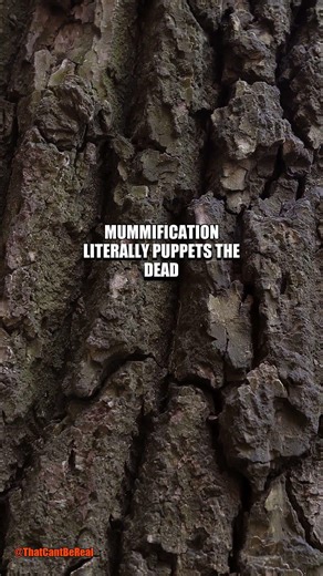 There's a CORPSE That Moves for YEARS After Death