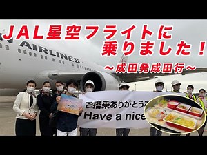 成田空港発✈︎成田空港行 JAL星空フライト搭乗レビュー！チャーターフライトに乗ってみた！【飛行機レビュー】