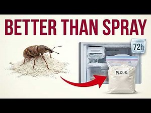 The $3 Trick That Keeps Weevils Out of Flour — They Never Taught You This