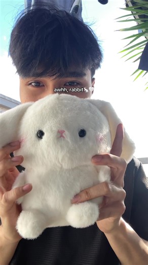 Discover Adorable Rabbit Plushies for All Ages