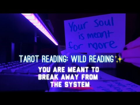 Tarot reading✨ you are meant to break away from the system