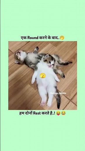 😼😏 ll #shorts #youtubeshorts #funny #cat #catlover