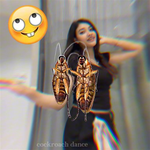 9.8K views · 122 reactions | Cockroach Dance Viral Song荒 | Call me jamai | Facebook