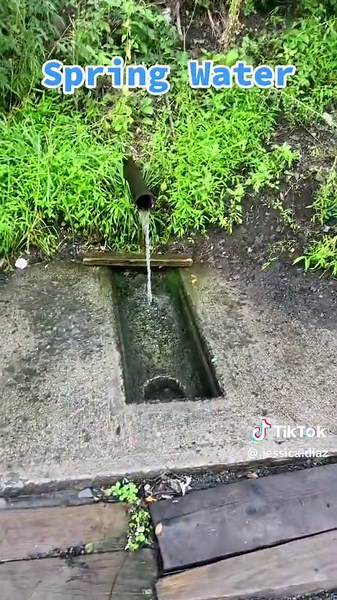 Natural Spring water. Blooming Grove Spring, Blooming Grove NY. Just n...