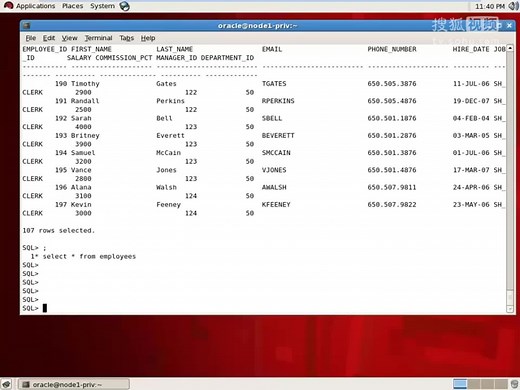 sql语言 08 使用like 模糊查询