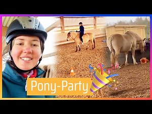 PONY PARTY in der Reithalle 🥳 | Storys auf Fjordis