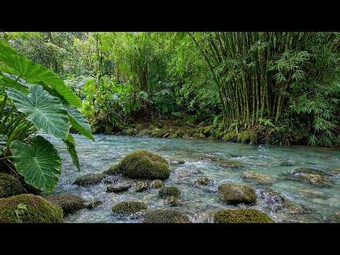 Peaceful Nature Sounds, Gentle Flowing River, Birds Singing in the Forest