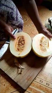 How to open and cut Golden Melon (Golden honeydew melon)
