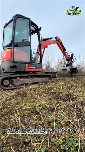 INSANE Mini Excavator Mulcher | Forest Clearing Made Super Easy