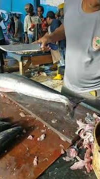 Cara potong ikan tenggiri #shorts #fyp #fishcutting #subcribe #fish
