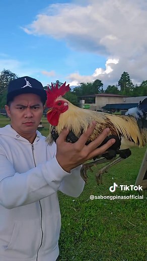 4 Days Sale na Sulit sa SP: Sabong Pinas Expo