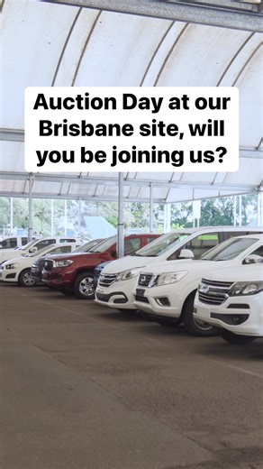 6K views | Have you ever been to a car auction? It's auction day at our Brisbane site today! Come join us and discover incredible deals on a wide range of vehicles. Don't miss your chance to bid!  #CarAuction #BrisbaneEvents #AuctionDay #CarDeals #ManheimAustralia #VehicleAuctions #CarShopping | Manheim Auctions Australia | Facebook