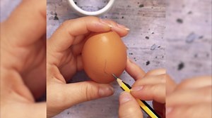 Egg shell art: Creative craft for kids