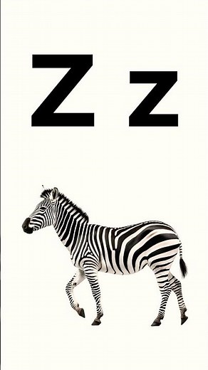 Z for Zebra | Fun Alphabet Song for Kids| Learn the Letter Z | Educational Video for Toddlers