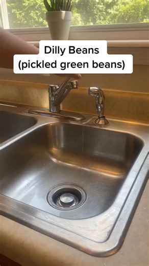 Dilly Beans!! #pickle #pickled #ballcanning #canning #prepper #preptok #preserve #boymom #homeschoolmom #garden #FilmTeyvatIslands #auntbeespantry #recipe #Foodie #letseat #veggies | Nicole Mahoney