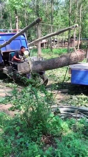 Log loading and unloading techniques #farming #shorts