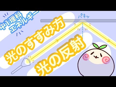 【中1理科p1】光のすすみ方・光の反射【実験もさらっと】