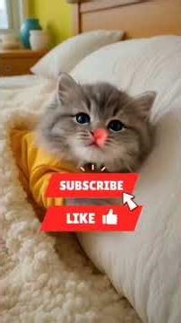 Be gentle in life #shortvideo #funny #viral