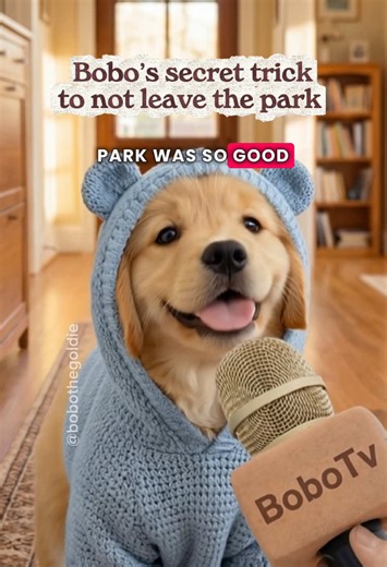 Bobo vs Mommy: Hilarious Dog Tricks Unleashed