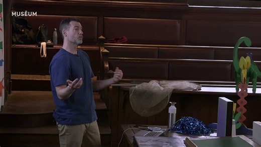 Conférence | Papillons morpho – La science expliquée aux 8-12 ans