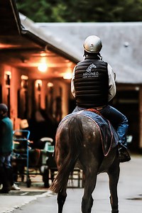 Training solutions - About - History of Arioneo