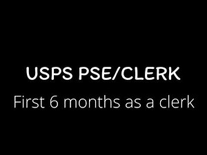USPS (First 6 months as a PSE Sales & Services/Distribution Associate)