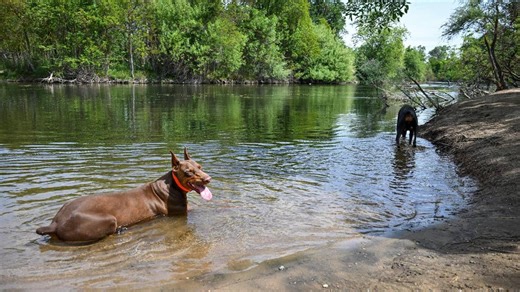 These maps show where you can enjoy public access to San Joaquin River in Fresno