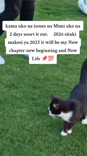 Embrace a New Chapter: Motivation for 2026