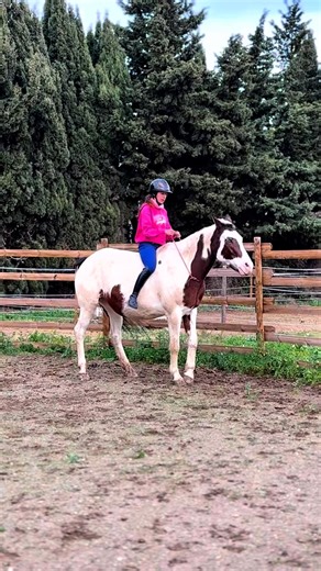 « Change de mors pour l’arrêter »🦄 Non ! Plutôt que de faire l’ascension des mors, essai de comprendre comment fonctionne ton cheval : - pourquoi il tire ? - pourquoi il s’appuie ? - pourquoi il court ? La clé est rarement dans l’ascension dès lors, ni dans les enrênements 🙏🏼 #cheval #coachenrose #horsemanship #lifestyle #equitation #horseriding #cowgirl #painthorse #horseliberty #liberty | Coach en rose