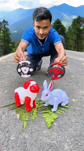 Remote Control Rabbit And Shape ! Unboxing Video