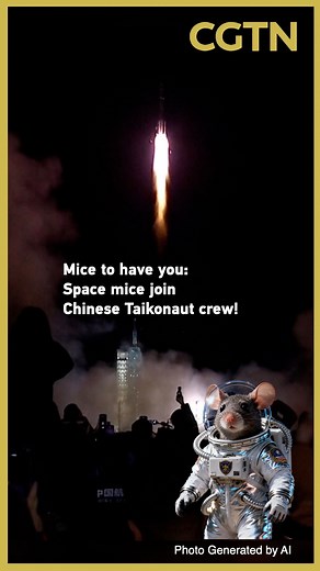 2.7M views · 3.2K reactions | China's space station is turning into an affair of mice and men as four rodents join the Shenzhou-21 crew. But they will not be the rats to abandon the spaceship, as these mice are specially selected for groundbreaking experiments in orbit. #SpaceChina | CGTN | Facebook