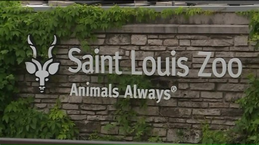 Saint Louis Zoo will reopen Monday; some exhibits to stay closed