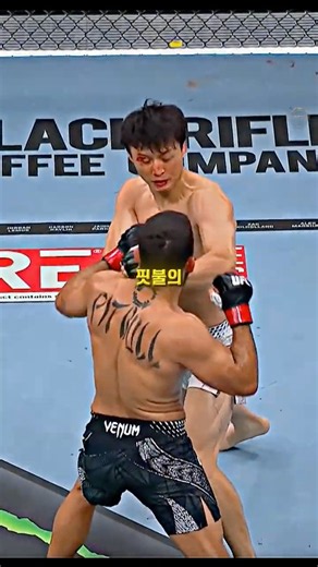 오늘은 슬픈 날이다.. 최두호 vs 핏불 경기 결과