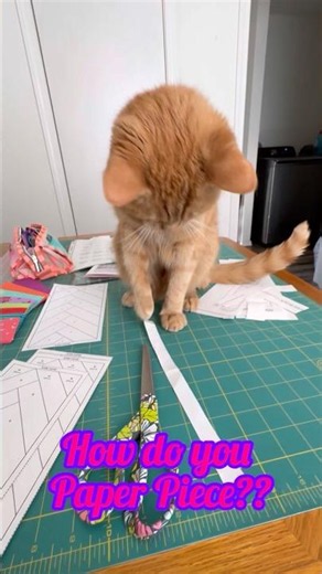Leo’s Foundation Paper Piecing Tutorial 😸