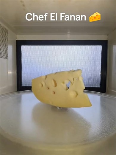 Cheese vs Microwave: Cheese Melting Experiment Explained