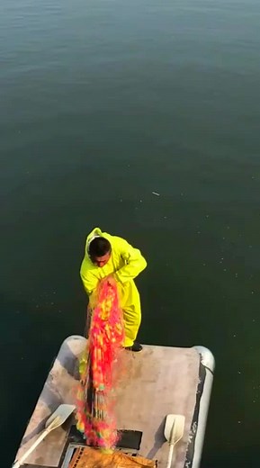 Catch a Lot of Fish with Red Net | Fishing Net Catching