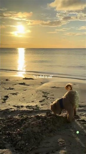 Enjoy the beautiful beach in Guam 🇬🇺 #guam #travel #beach #smallisland #islandlife #island