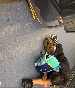 91K views · 298 reactions | Take the Metro Transit LRT, they said. It'll be fun, they said. Minneapolis | Twin Cities Crime Watch & Information | Facebook