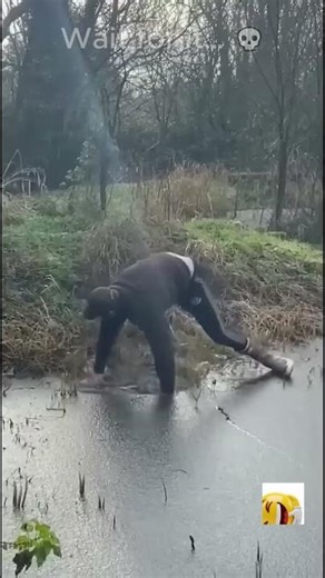 Physics Said NOPE 💀 Best Funny Fails 2025