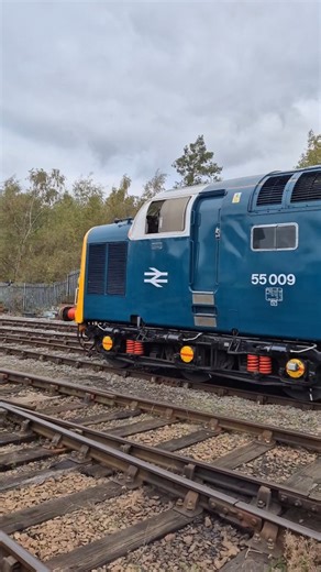1.3K reactions · 15 shares | Deltic #class55 55009 Alycidon at Barrow Hill Railway 200 event. #deltic #delticpreservationsociety #diesellocomotive #heritagerailway #HeritageDiesel #britishrailways | Wobbly Runner Exploring | Facebook