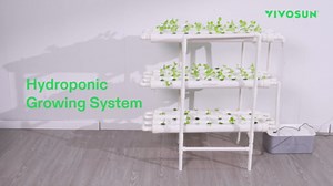 VIVOSUN Wall-Mounted Hydroponic Grow Kit, 1 Layers 36 Plant Sites 4 Food-Grade PVC-U Pipes Hydroponics Planting System with Water Pump, Pump Timer, Nest Basket and Sponge for Leafy Vegetables
